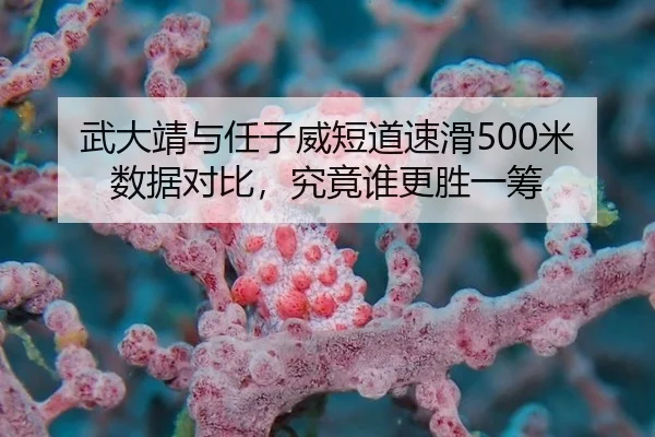 武大靖与任子威短道速滑500米数据对比，究竟谁更胜一筹